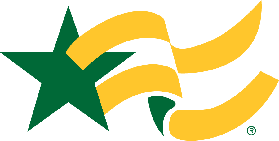 George Mason Patriots 1995-2004 Secondary Logo diy iron on heat transfer